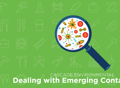 Dealing with Emerging Contaminants
