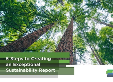 5 Steps to Creating an Exceptional Sustainability Report