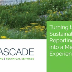 Turning the Sustainability Reporting Process into a Meaningful Experience