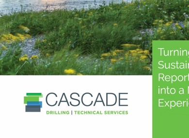 Turning the Sustainability Reporting Process into a Meaningful Experience